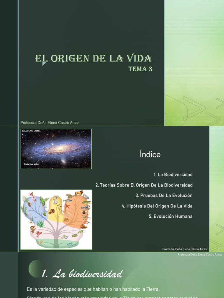 Origen de la Vida y Evolución Humana | PDF | Evolución | Homo