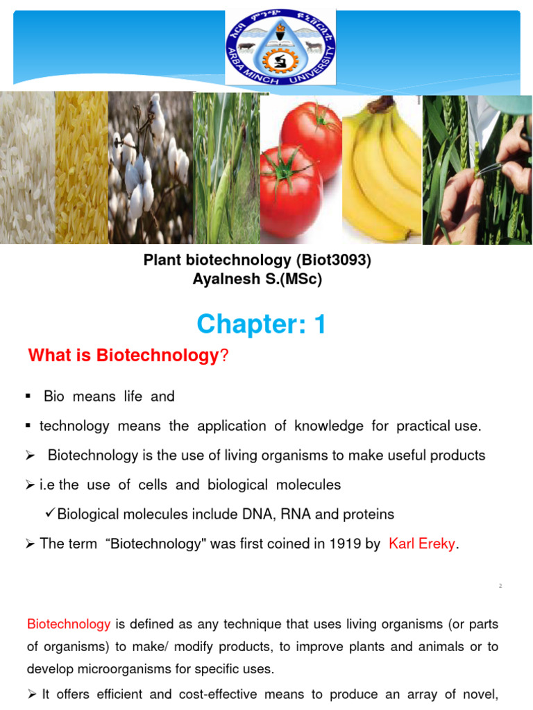 Plant Biotech Lecture1 PDF | PDF | Molecular Cloning | Vector ...