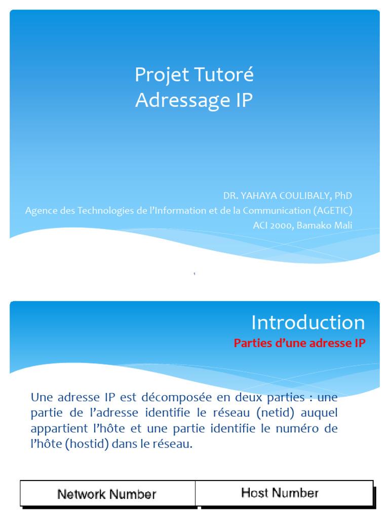 Comprendre l'Adressage IP et ses Types | PDF | Adresse IP | I Pv6