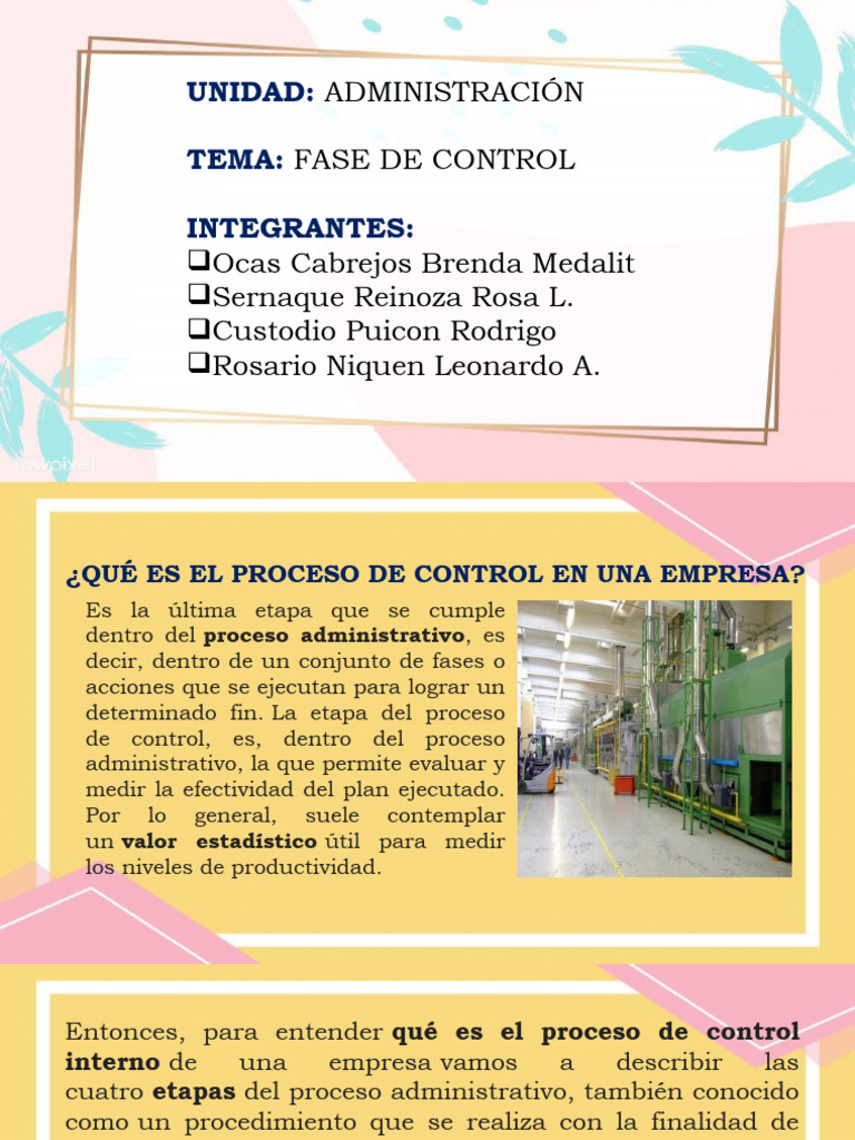 Fase de Control | PDF | Business | Economias