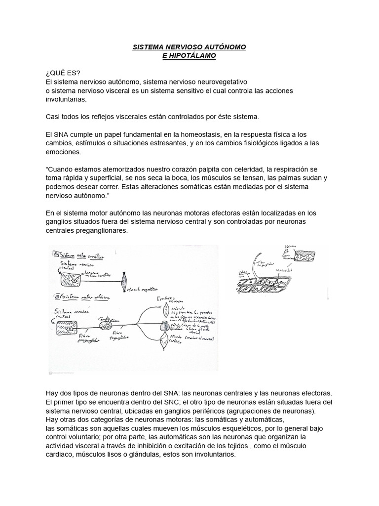 Neurobiologia Módulo 6 Sistema Nervioso Autónomo Pdf