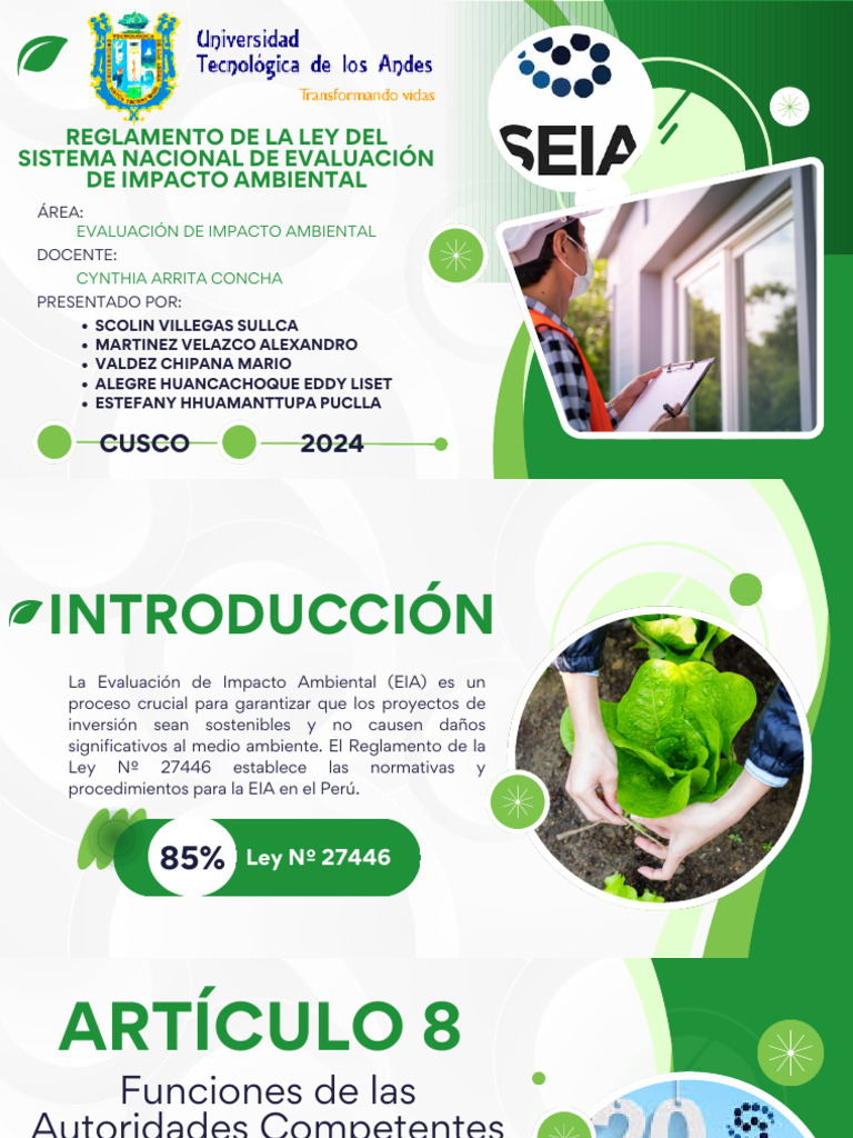 Reglamento del SEIA en Perú | PDF | Evaluación de impacto ambiental