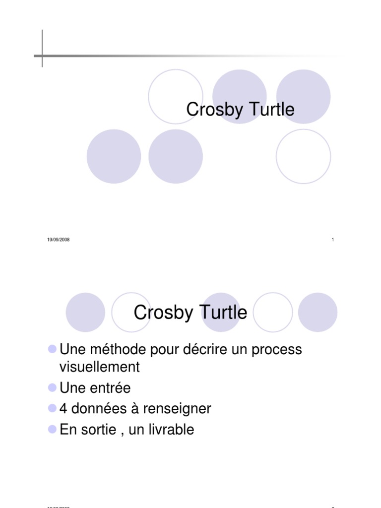 Méthode Crosby Turtle pour Processus | PDF