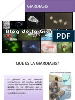 La giardiasis: causas, síntomas y tratamiento de la infección intestinal por Giardia lamblia