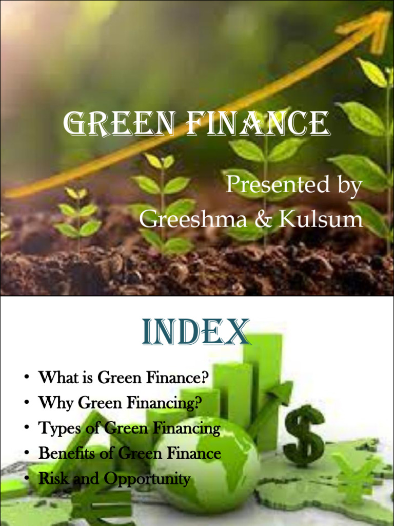 Understanding Green Finance Essentials | PDF