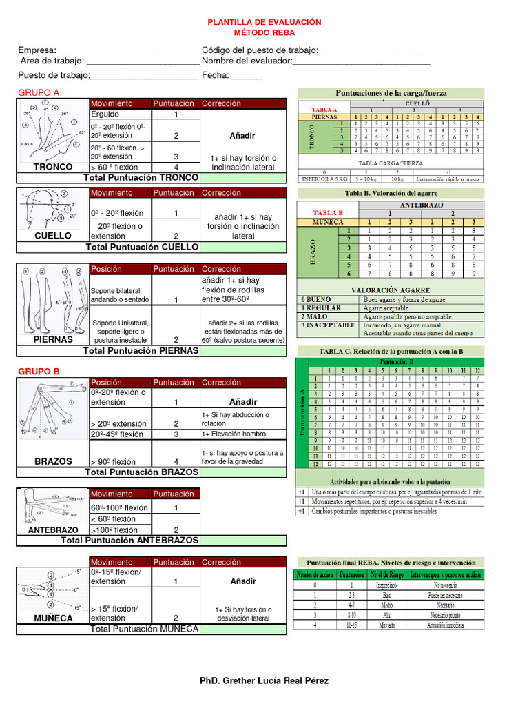 Plantilla Evaluación Método REBA | PDF | Sistema musculoesquelético ...