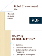 The Global Environment: Presented By: Abdul Rehmath Muthahir Abdulla