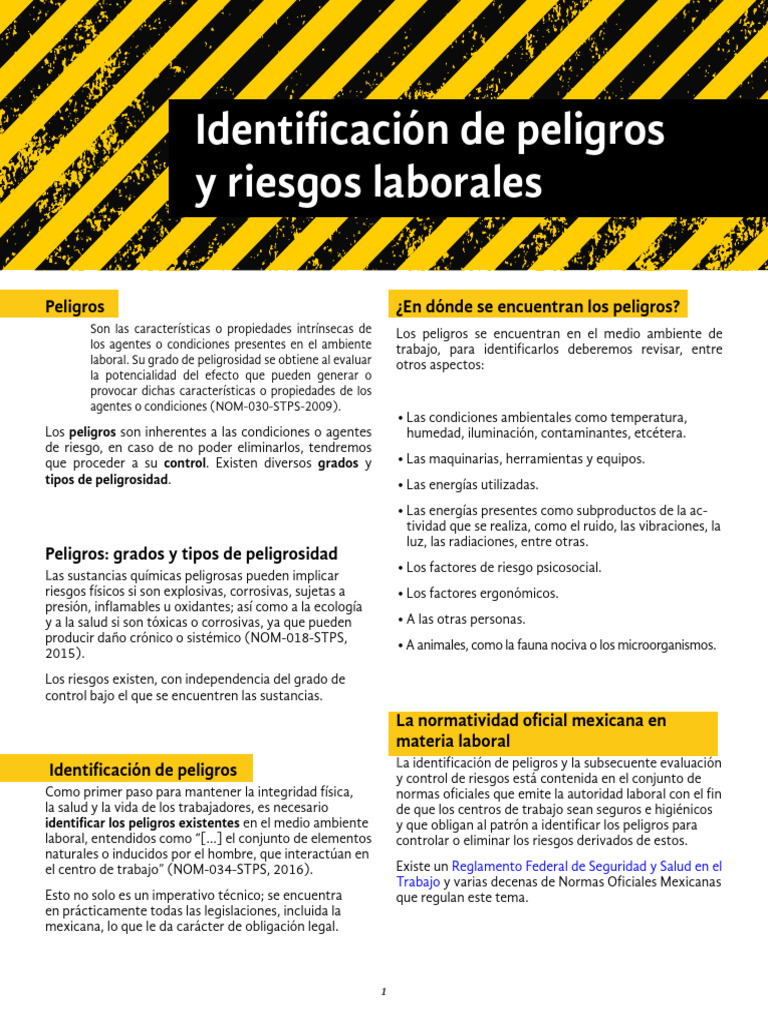 Identificación de Peligros y Riesgos Laborales | PDF | Riesgo