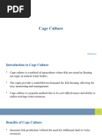 10 & “Harmony” COMPLETE BOX Cage Aquaculture. Regional Reviews and Global Overview | PDF