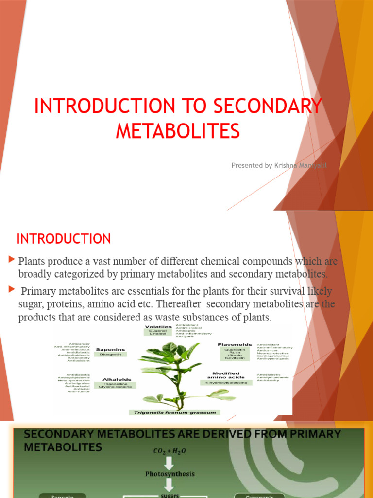Overview of Plant Secondary Metabolites | PDF | Alkaloid | Amine
