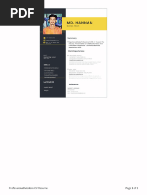 Professional Modern CV Resume_20240629_032508_0000