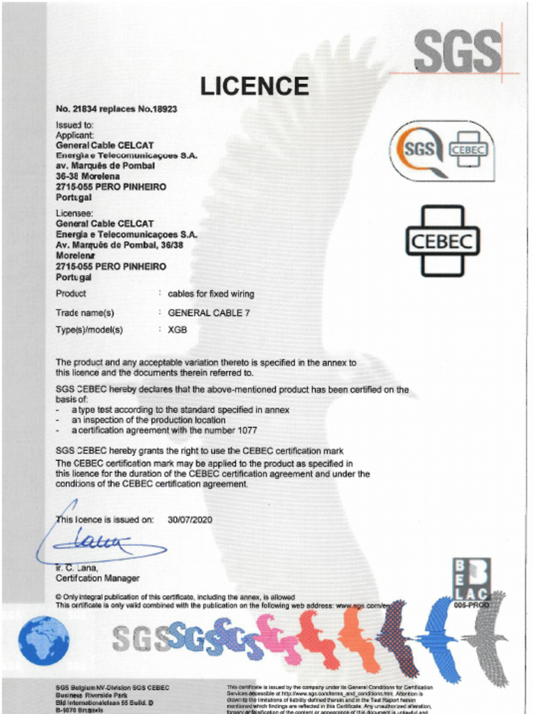Cebec 21834 | PDF