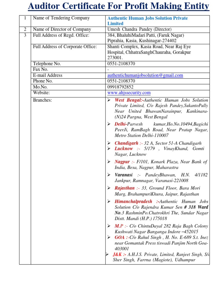 Auditor Certificate for AHJS Pvt. Ltd. | PDF | Audit | Financial Audit