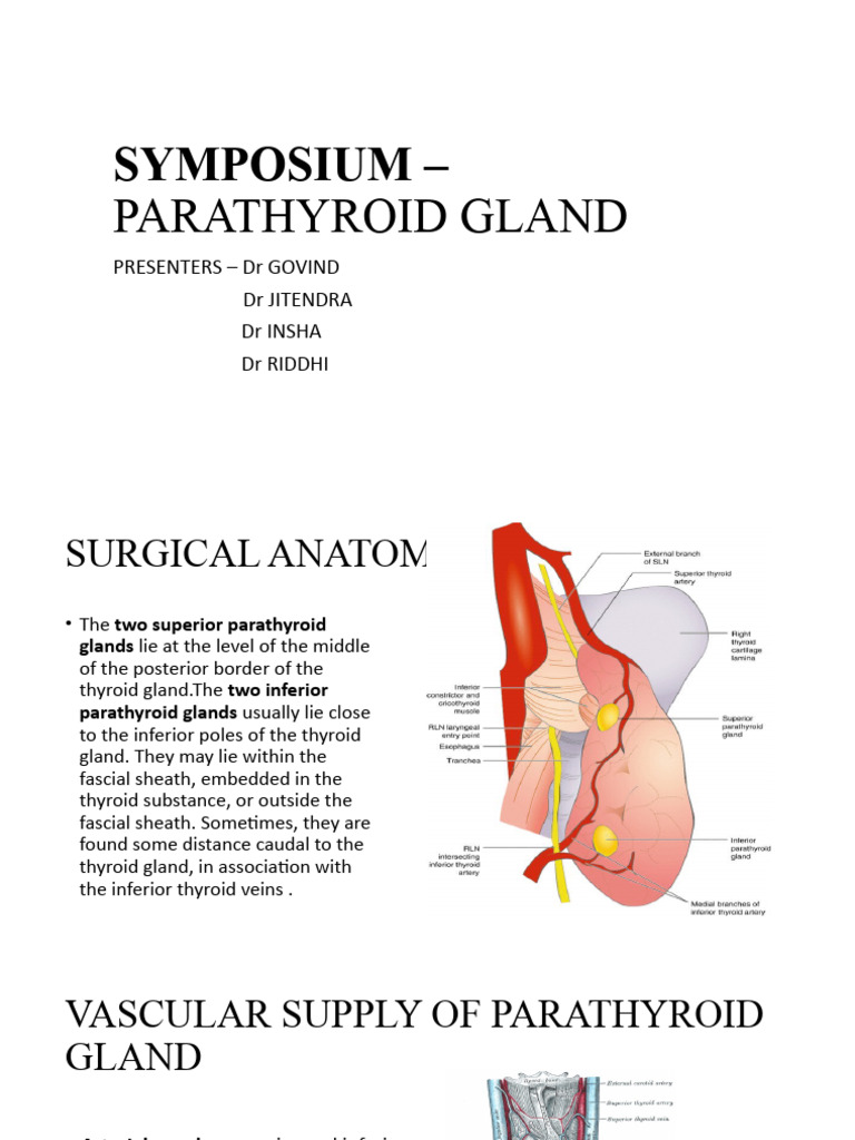 Parathyroid Gland Anatomy & Physiology | PDF