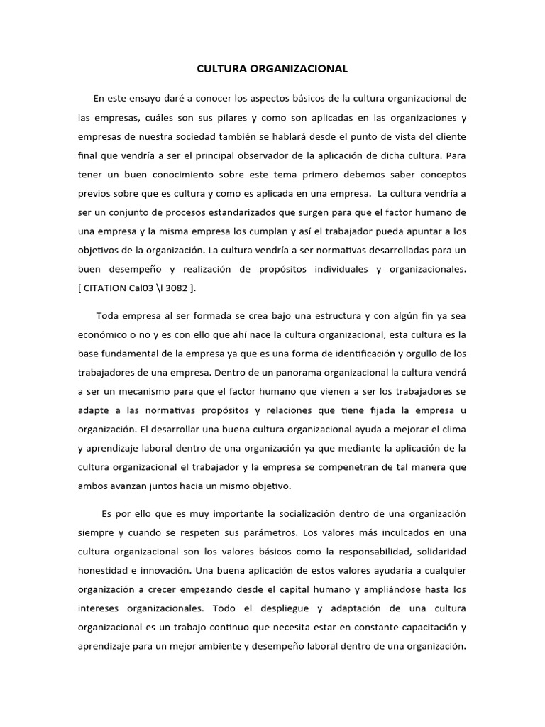 Claves de la Cultura Organizacional | PDF | Business | Cultura ...