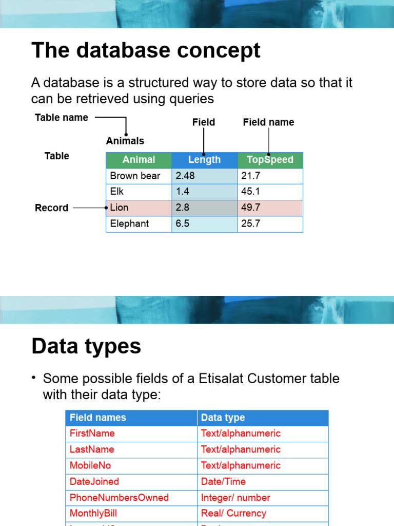 Understanding Database Concepts and Validation | PDF | Data Type ...