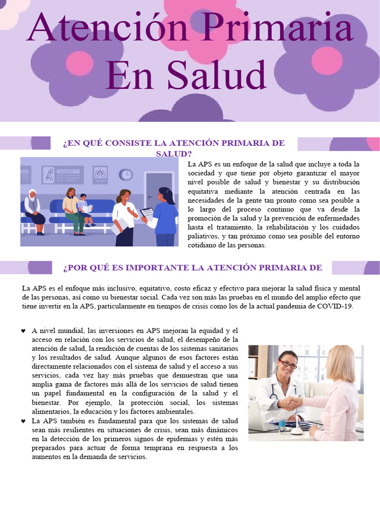 Importancia de la Atención Primaria en Salud | PDF | Cuidado de la salud