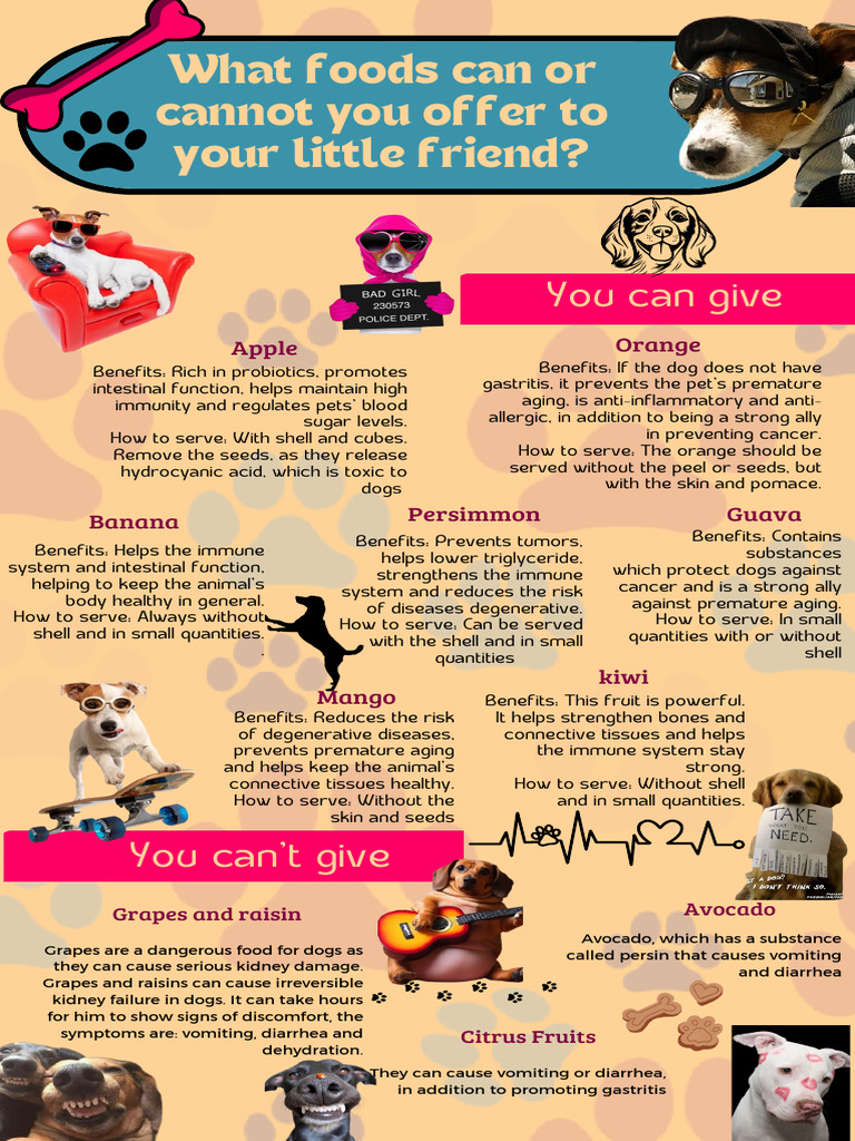 Safe Foods for Dogs: What to Avoid | PDF | Cancer | Dogs