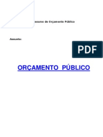 Contabilidade Publica Orcamento Publico