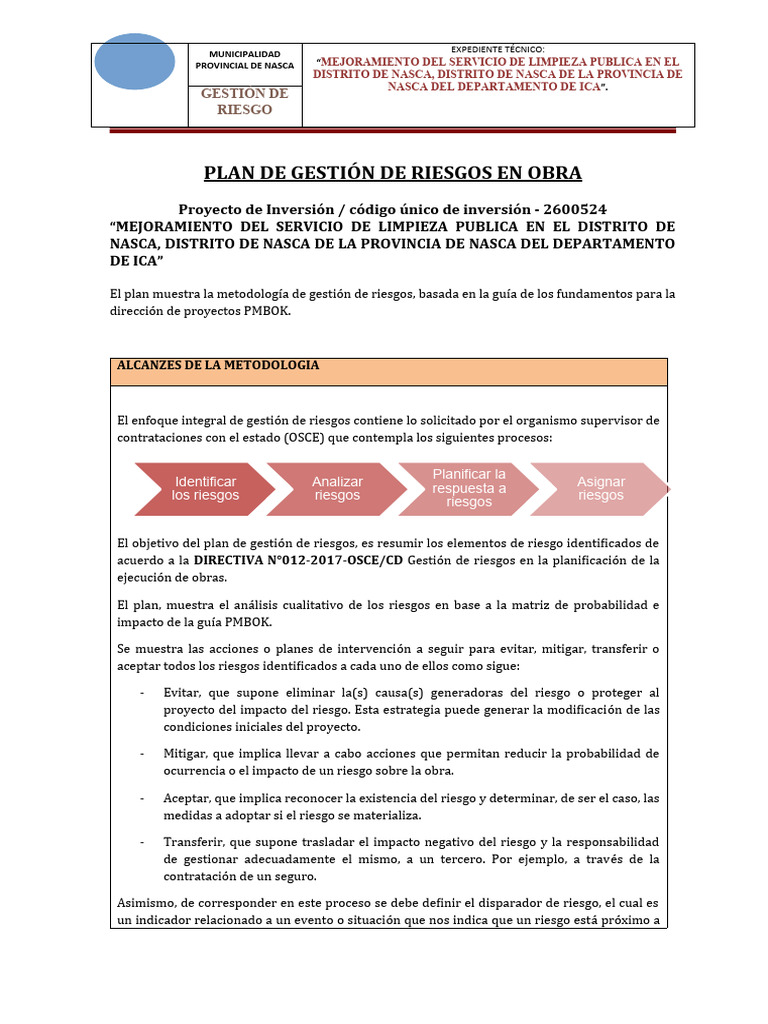 Informe Gestion De Riesgos Durante La Ejecucion Descargar Gratis Pdf
