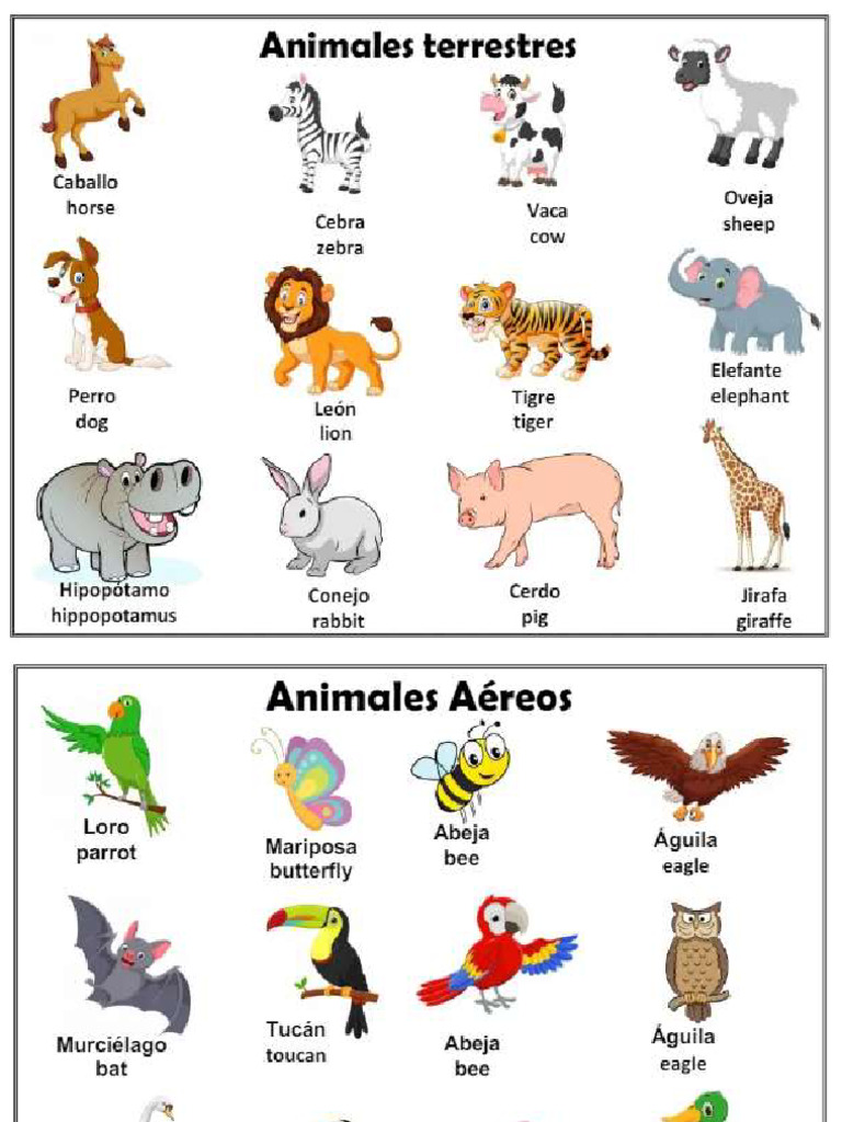 Animales | PDF