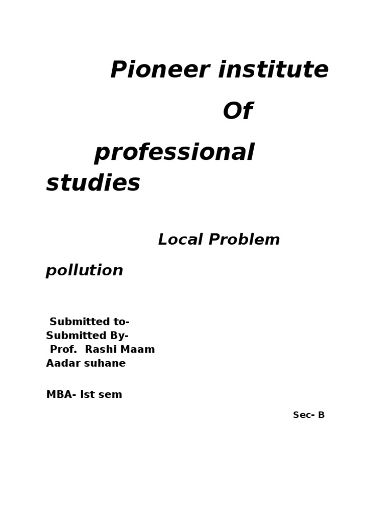 Local Problem | PDF | Air Pollution | Pollution