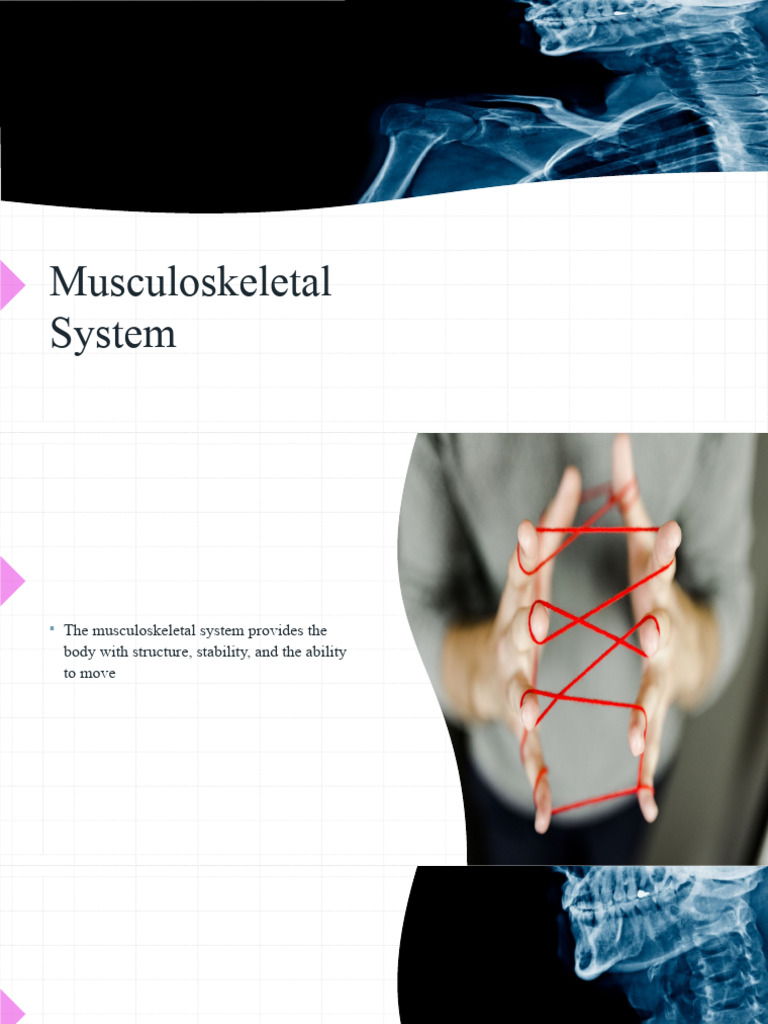 Overview of the Musculoskeletal System | PDF | Human Musculoskeletal ...