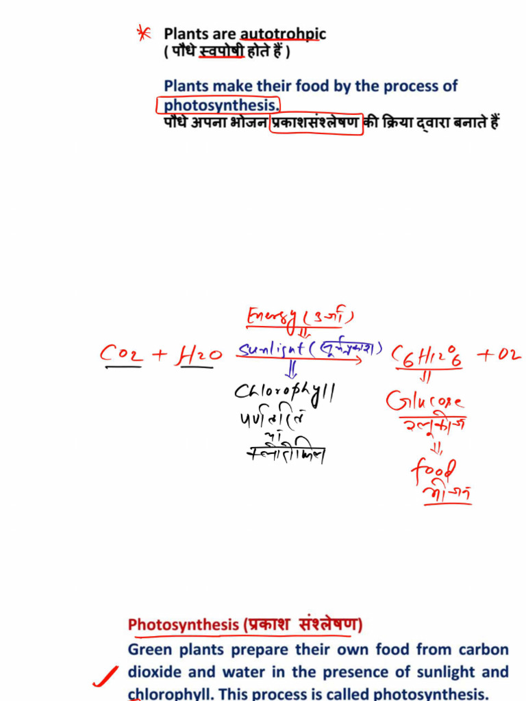 PLANT NUTRITION MULTIPLE CHOICE QP PDF ANSWERS visual data 2