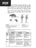 Download Morfologi Tikus by ichan guevara SN75056319 doc pdf