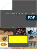 Entomology Lecture