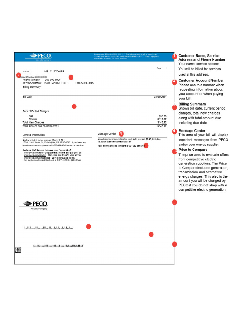 PECO Energy Sample Utility Bill | PDF | Fee | Power (Physics)