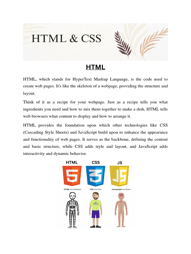 HTML and CSS Overview | PDF