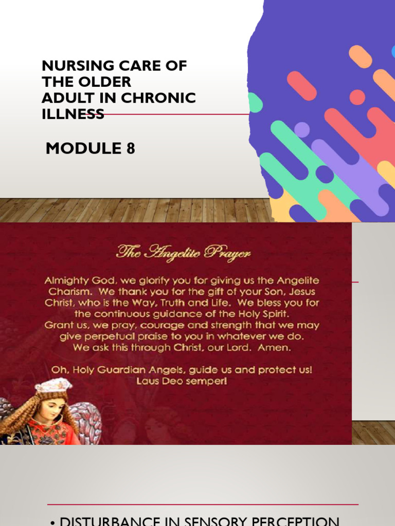 洋書 Care of the Adult with a Chronic Illness Nursing Care of The Older Adult in Chronic Illness | PDF