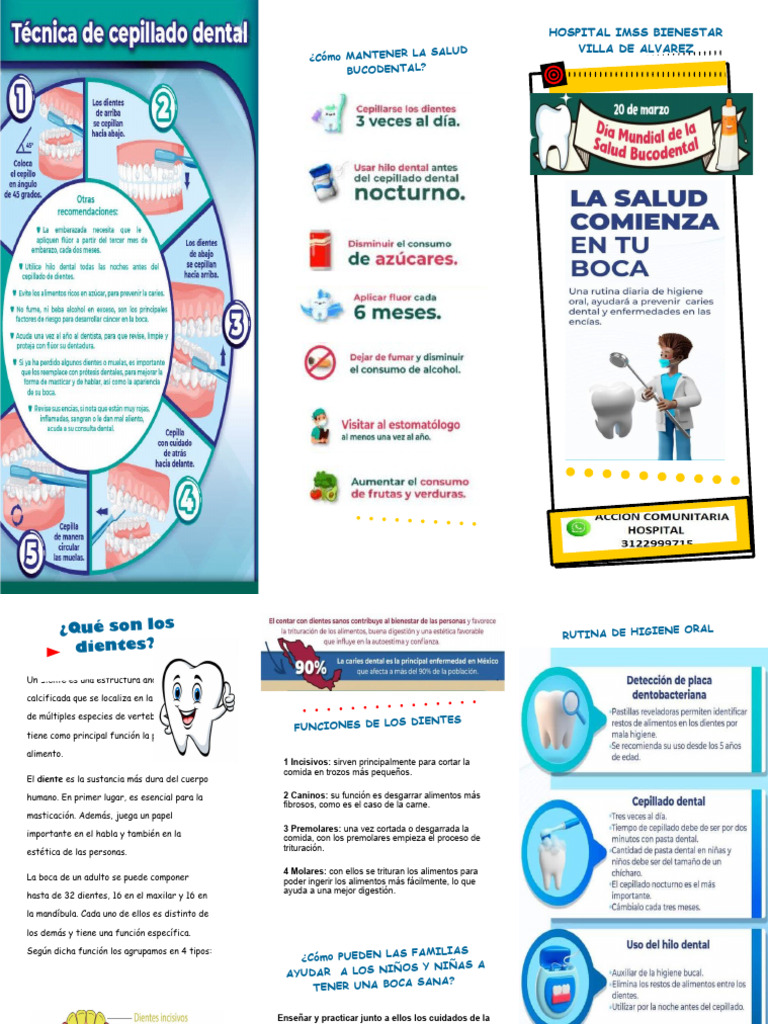 Dia Mundial de la salud bucodental (1) | PDF | Diente | Boca