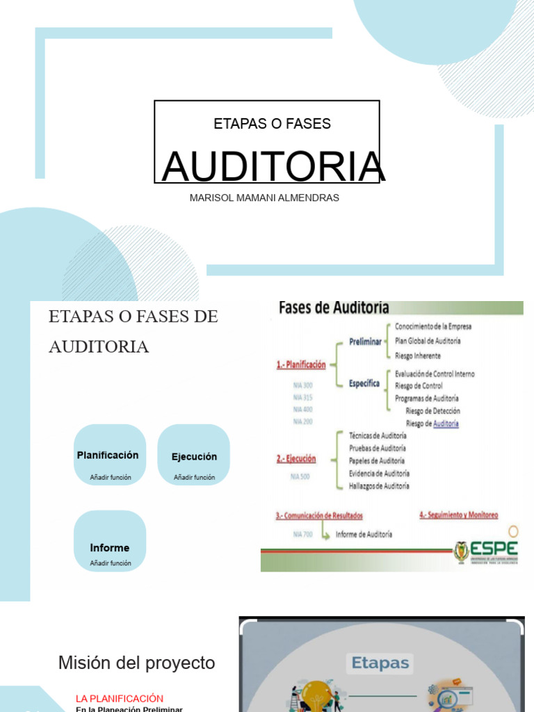 Fases de la Auditoría: Guía Completa | PDF | Auditoría | Contralor