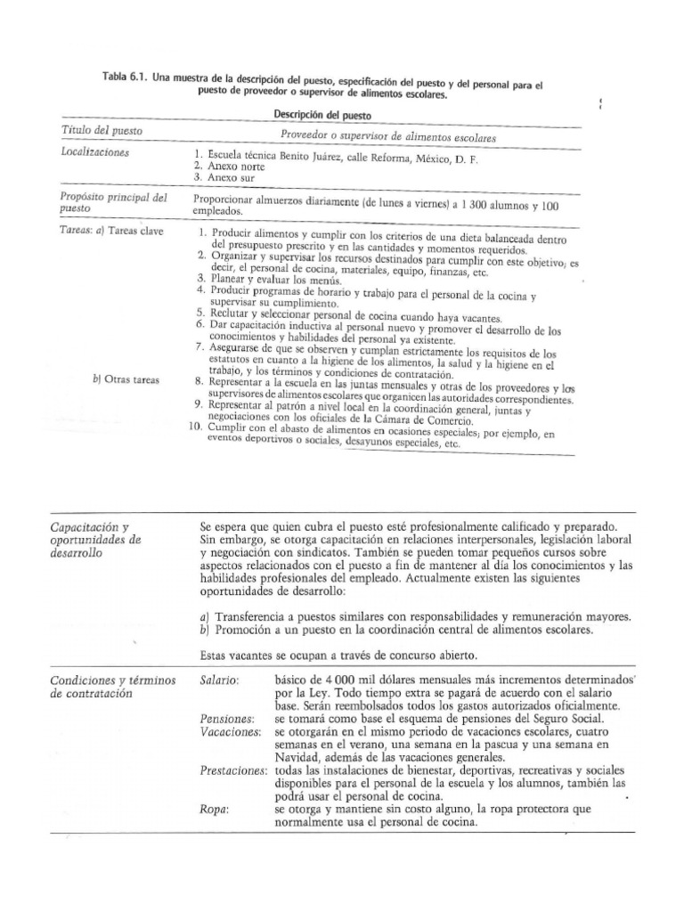 Formato Descripción de Puestos | PDF