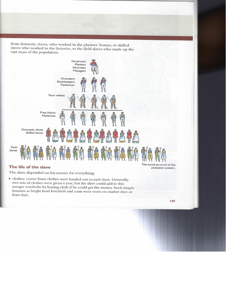 Social Structure of Slave Society | PDF