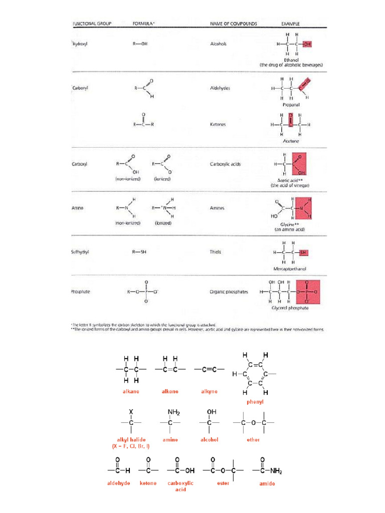 Functional Groups Chart.docx | PDF