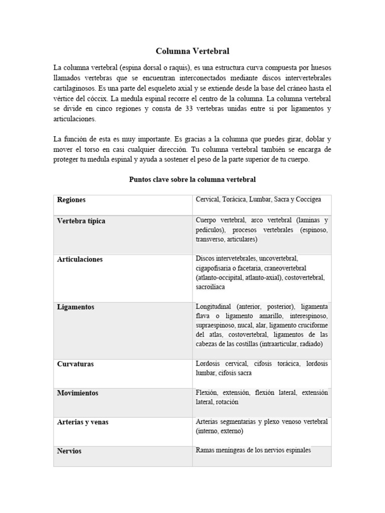 Anatomía y Funciones de la Columna Vertebral | PDF | La columna ...