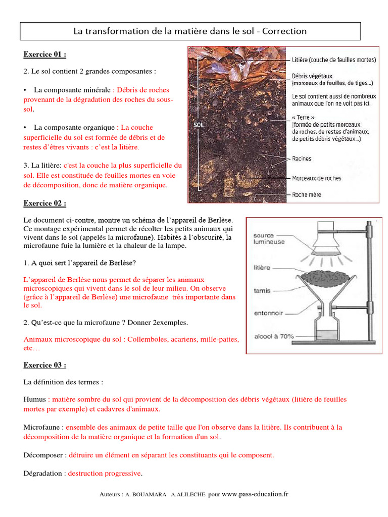 Évaluation SVT 6ème : Transformation du sol | PDF | Sol (pédologie ...