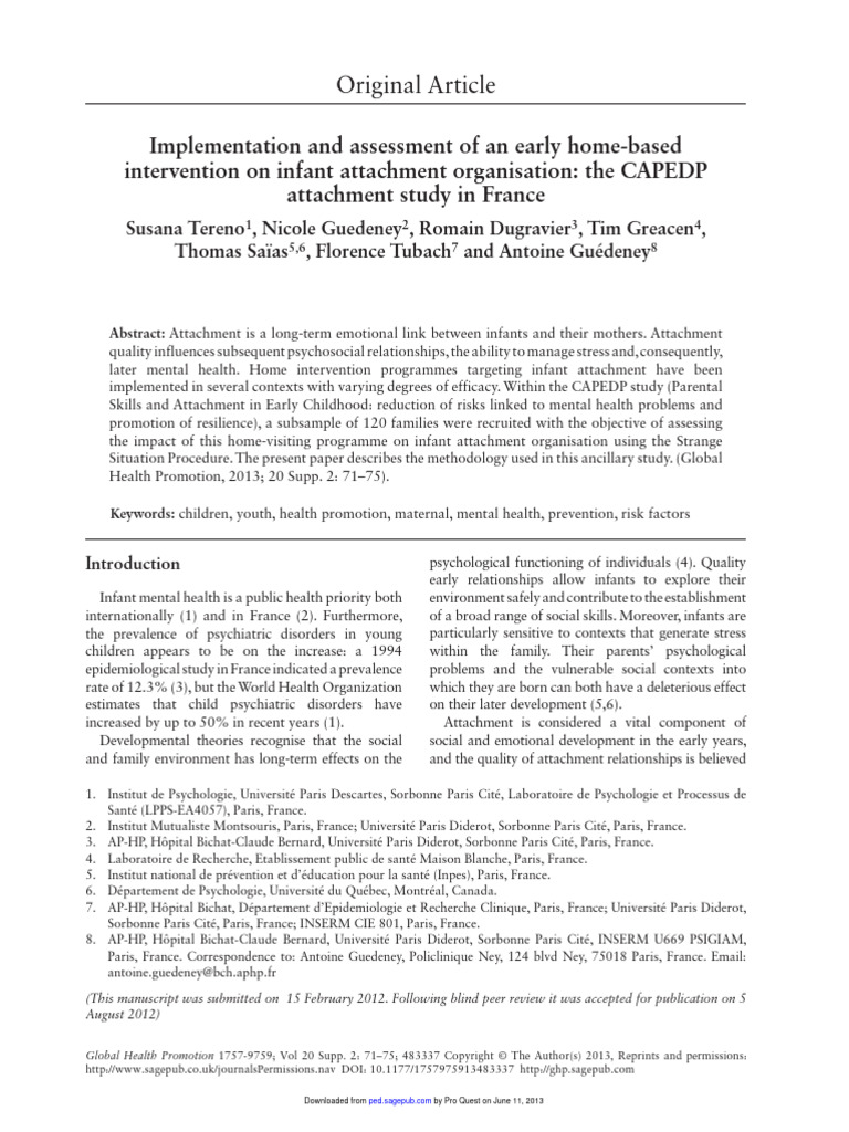 Implementation and Assessment | PDF | Attachment Theory | Mental Health