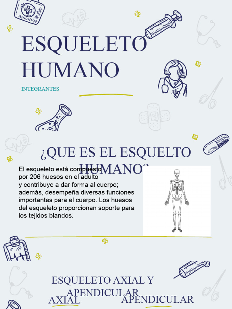 Esqueleto Humano 2 Pdf Hueso Esqueleto