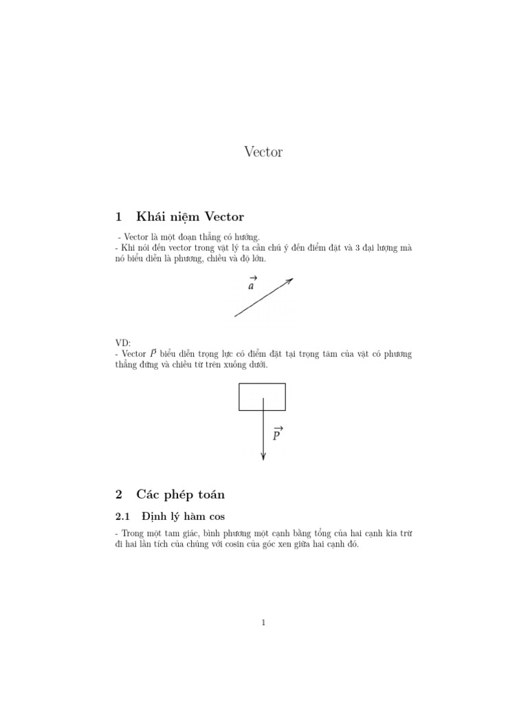 Vector 1 | PDF