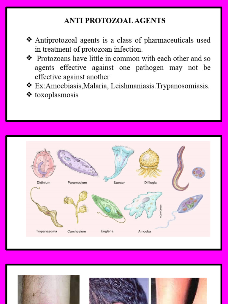Anti Protozoal Agents | PDF | Epidemiology | Medicine
