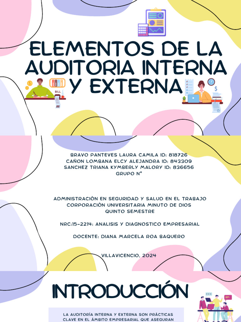 Elementos de La Auditoria Externa e Interna | PDF | Auditoría | Business