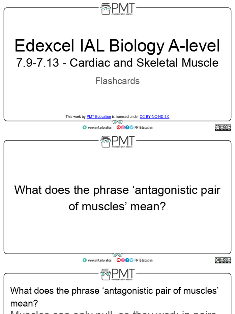 Flashcards topic 7 9 7 13 cardiac and skeletal muscle edexcel ial