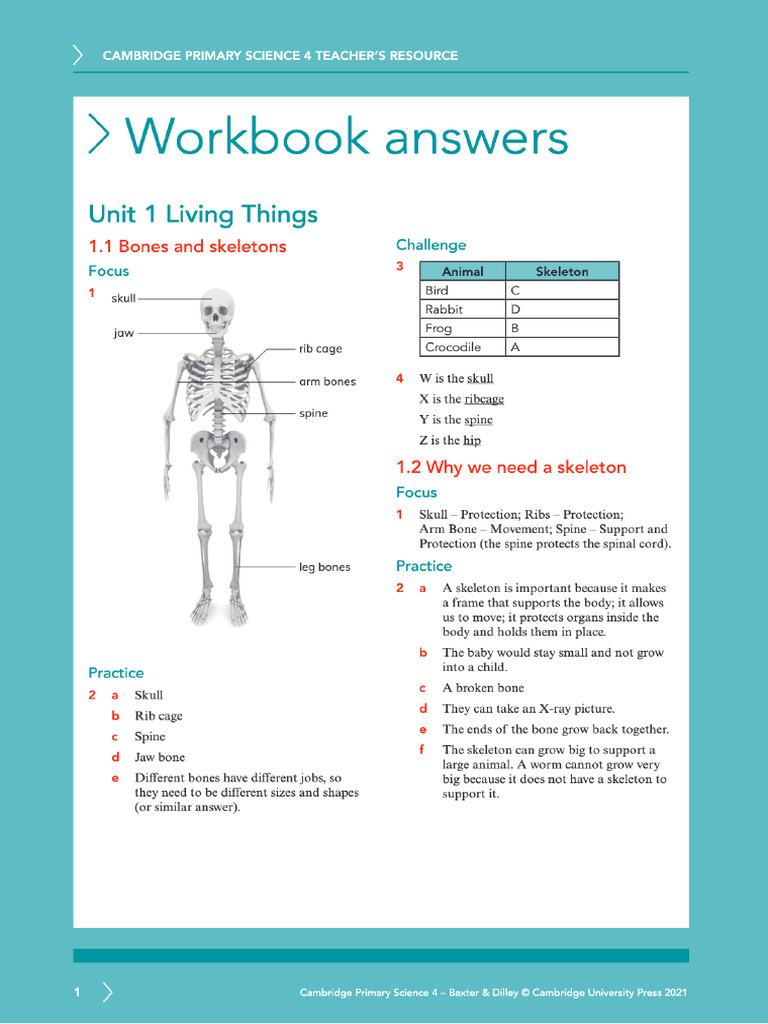 Science 4 Workbook Answers | PDF