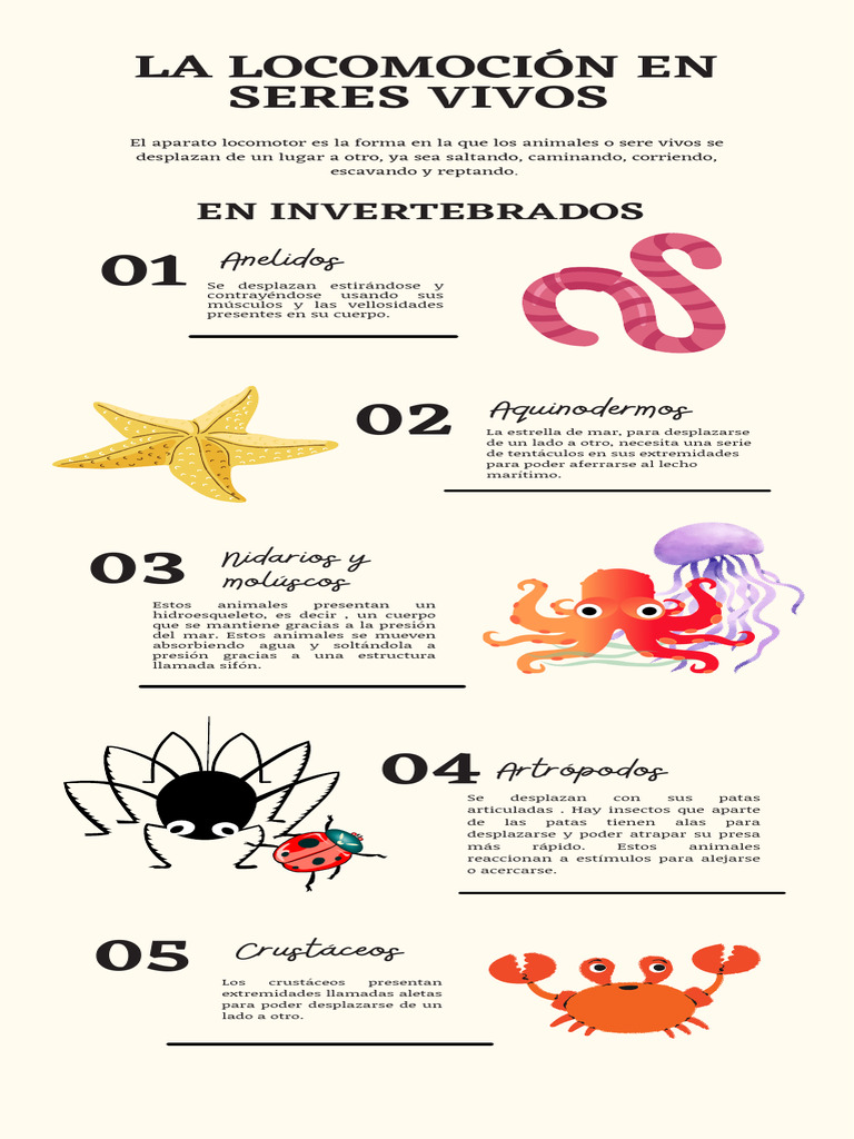 LA LOCOMOCIÓN EN SERES VIVOS | Descargar gratis PDF | Zoología