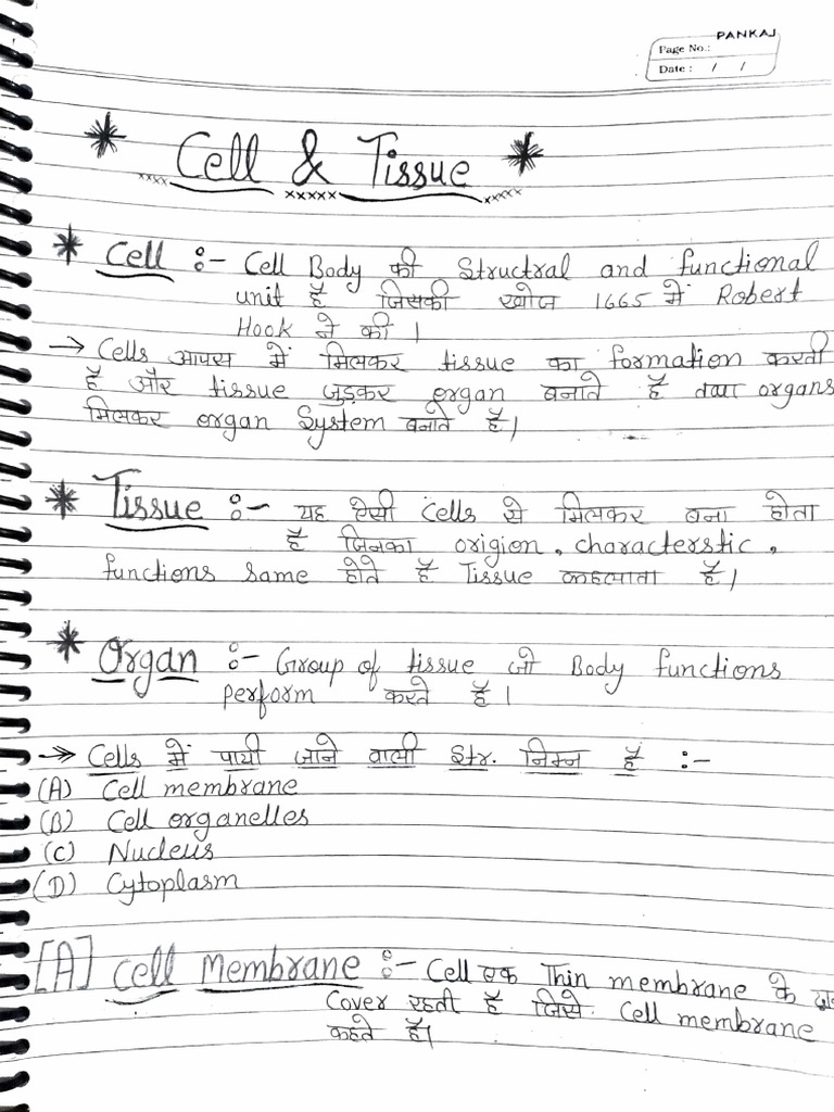 Anatomy visual data 4