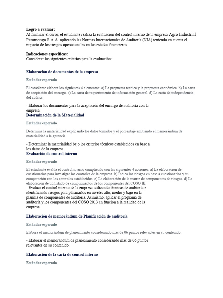 rubrica-y-consigna-pdf-auditor-a-business